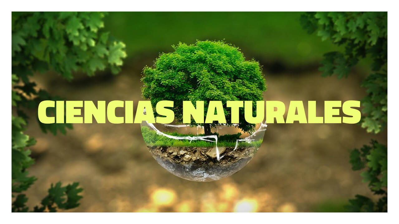 Es una imagen en donde se puede apreciar el nombre el curso "Ciencias Naturales" en medio y detrás un fondo con un árbol